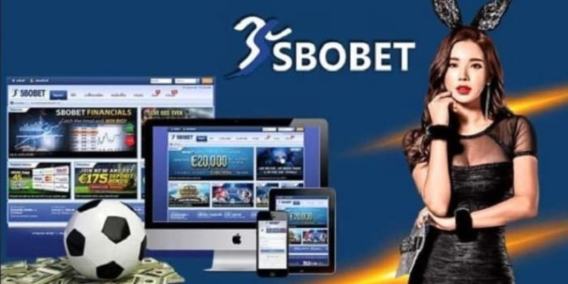 Giới thiệu đến người chơi khái niệm SBOBET Miso88