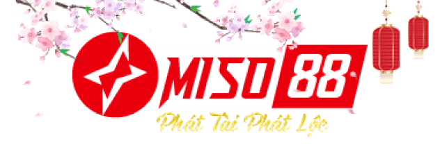 Miso88